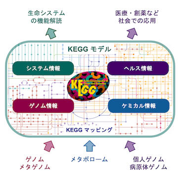 KEGG model